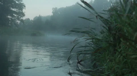 Fog 库存影片 33738723