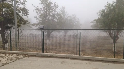 Fog Stock Footage 80503834