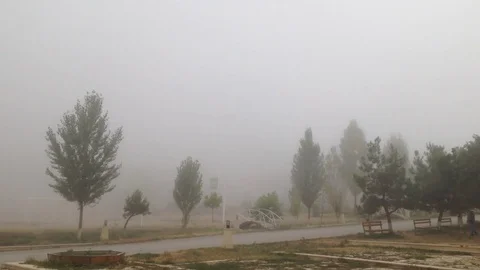 Fog Stock Footage 80503865