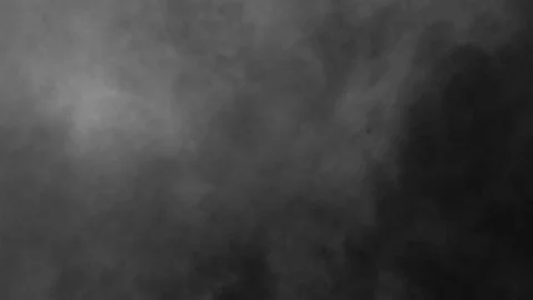Fog Stock Footage 81746670