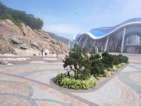 In the fog Vídeo Stock 88719837