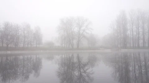 Fog Stock Footage 98141228