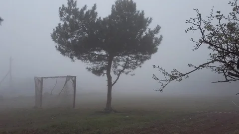 Fog Stock Footage 126342725