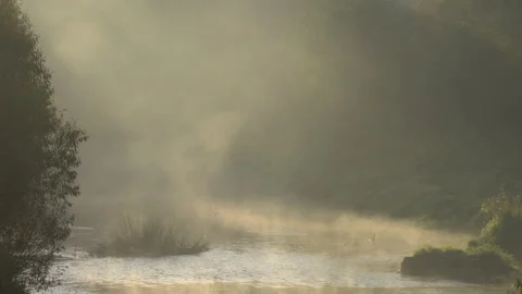 Fog. Stock-Footage 141377728