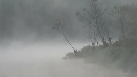 Fog Stock-Footage 141378154