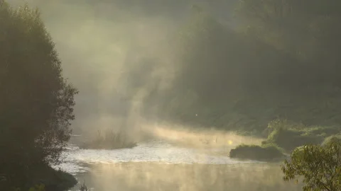 Fog Stock Footage 141378385