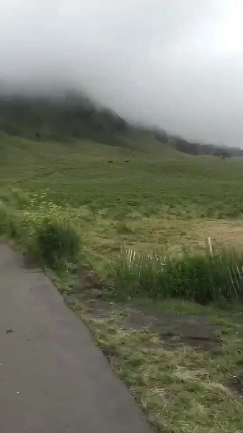 To the Fog Stockbeeldmateriaal 208896467