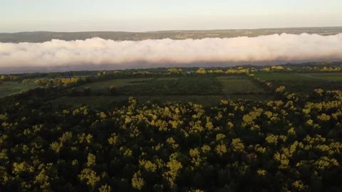 Fog Stock Footage 264376663