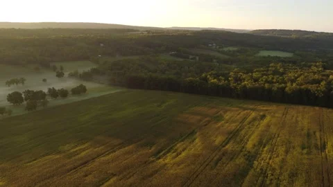 Fog Stock Footage 264377153