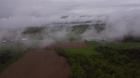 Fog Stock Footage 279178416