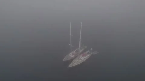 Fog Stock Footage 293344790