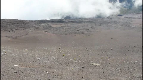 Fog Stock Footage 301294073