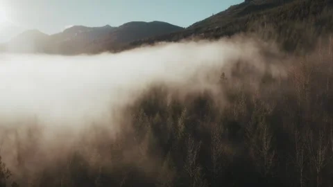 Fog Stock Footage 315091042