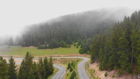 Fog on the forest. 4K Stock-Footage 138043536