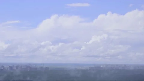 Fog forest 4k Stock Footage 145880082