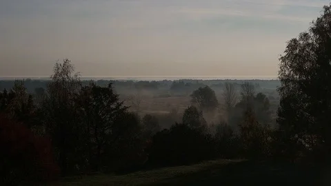 Fog in the forest in Belarus Stock Footage 97979957