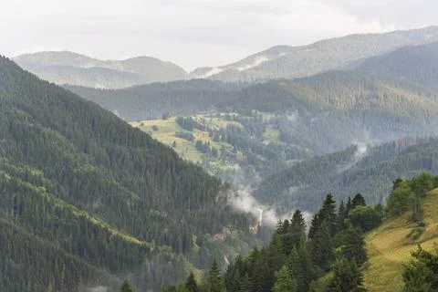 Fog in the forest at Bulgaria. Stock Photos