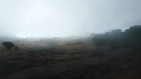 Fog in the forest, Cloud storms , Fog in forest, morning fog on mountains. Stock Footage 284710637