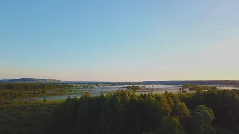 Fog in the forest. Video stock 101727992