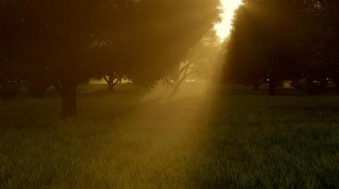 Fog in the forest Stock Illustration