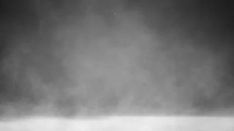 Fog on Forest Lake Stock Footage 80868833