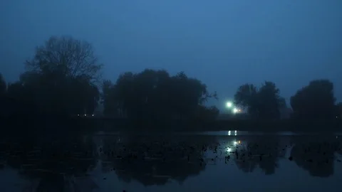 Fog forest lake river night Stock Footage 81597384