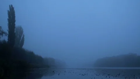Fog forest lake river night Stock Footage 81597606