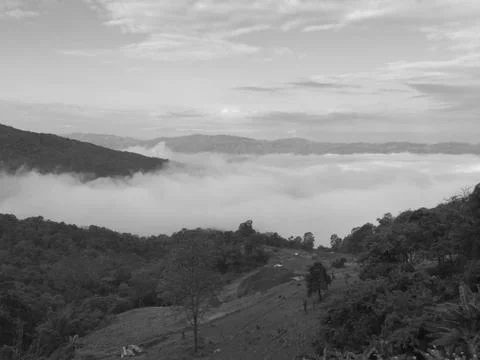 Fog in the forest mountain of view landscape nature Stock Photos