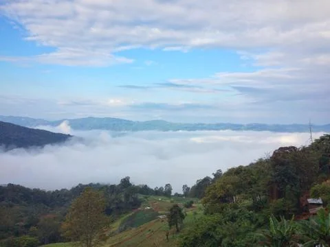 Fog in the forest mountain of view landscape nature Stock Photos
