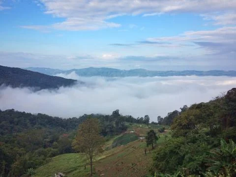 Fog in the forest mountain of view landscape nature Stock Photos