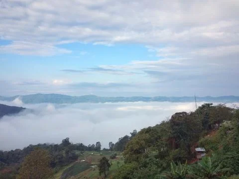 Fog in the forest mountain of view landscape nature Stock Photos