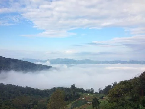 Fog in the forest mountain of view landscape nature Stock Photos