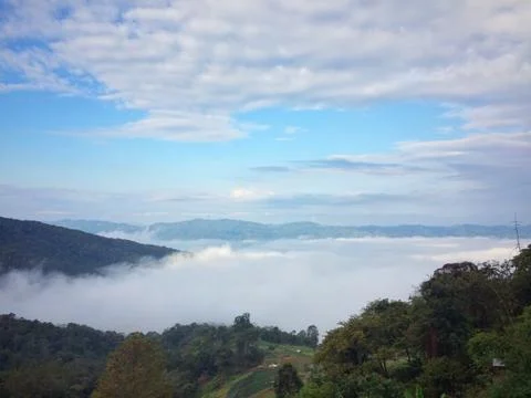 Fog in the forest mountain of view landscape nature Stock Photos