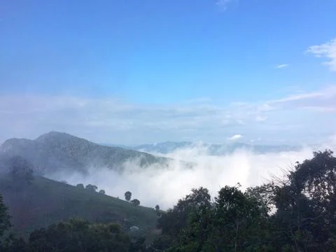 Fog in the forest mountain of view landscape nature Stock Photos