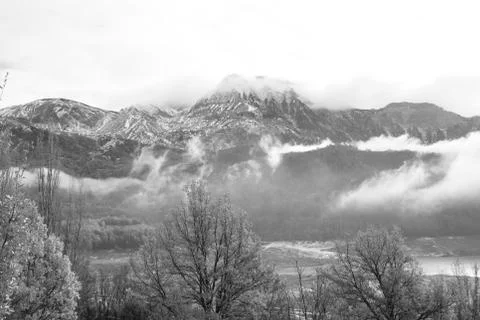 Fog in the forest Stock Photos