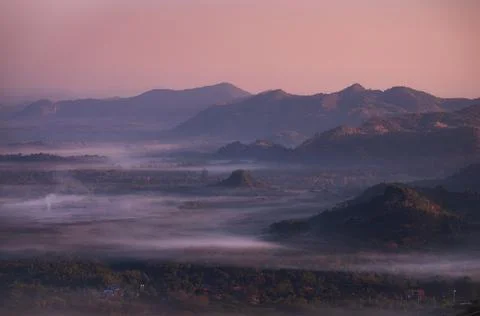 Fog in forest. Stock Photos