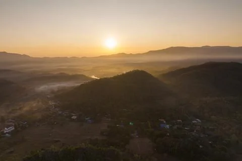Fog in forest. Foto stock
