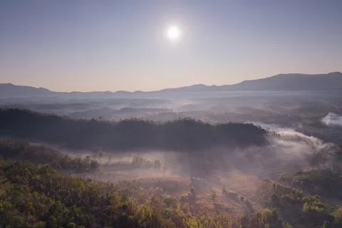 Fog in forest. Stock Photos