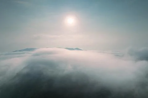 Fog in forest. Stock Photos