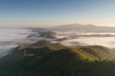 Fog in forest. Stock Photos