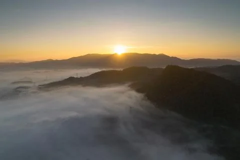 Fog in forest. Foto stock