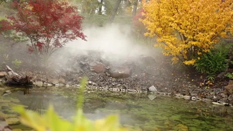 Fog in the forest by the river Stock Footage 289561331