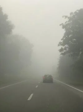 Fog on the forest road Stock Photos
