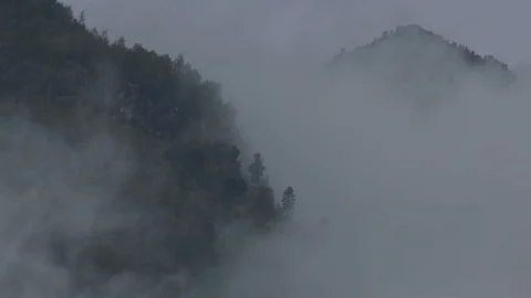 Fog in the forest, solid clouds, clouds hide, open the view of the mountains. Stock Footage 125454730