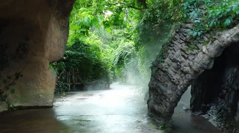 Fog in the forest in the sunlight Stock Footage 55186300