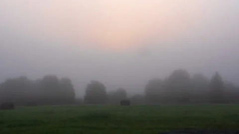Fog in the forest at sunrise. Timelapse Stock-Footage 138216183