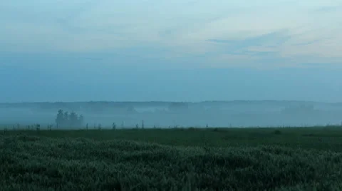Fog getting thicker in the dusk and moving towards the camera. 4K timelapse. 動画素材 64401656