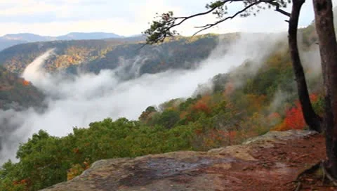 Fog in the gorge Stock Footage 8852436