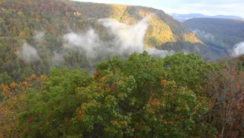 Fog in the gorge Stock Footage 8852932