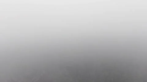 Fog gradually unveiling lush mountain on koh chang island Video stock 305638154